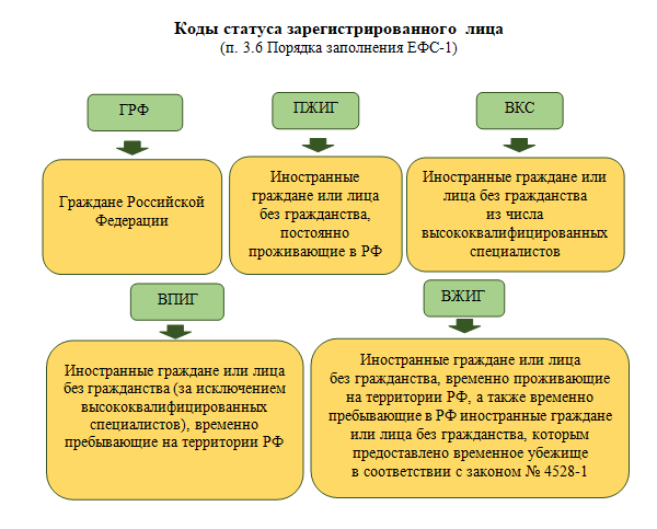 Форма ЕФС-1: сведения и условия предоставления