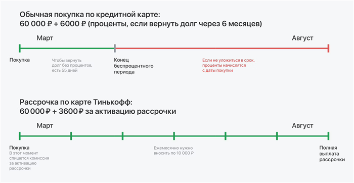 Выбор и обязанности тренера для лошади